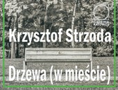 Krzysztofa Strzody - Drzewa (w mieście) - wystawa w katowickiej galerii ZPAF