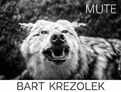 Wystawa fotografii Bartka Krężołka „Mute” w Zamościu