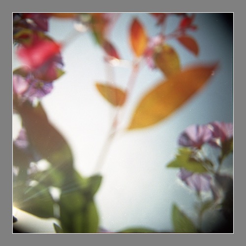 Loading Image