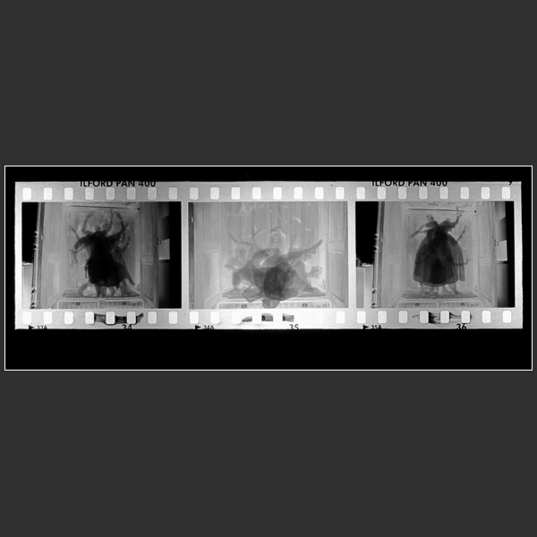 Loading Image