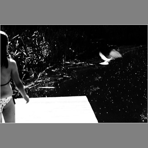 Loading Image
