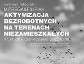 Wystawa duetu Gosia Mitręga & Zbyszek Filipiak w toruńskim Dworze Artusa