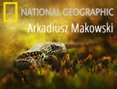Międzynarodowy sukces młodego polskiego fotografa Arkadiusza Makowskiego