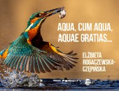 Wystawa fotografii Eli Rogaczewskiej w radomskiej galerii