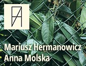 FAF przedstawia: Mariusz Hermanowicz „Pole walki” / Anna Molska „Zdjęcia”
