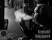Wystawa „Krzysztof Niesporek. Wspomnienie" w Galerii Katowice