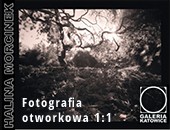 Wystawa Haliny Morcinek „Fotografia otworkowa 1:1” w Galerii Katowice