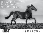  „Krótkie historie o koniach” autorstwa Ignacego50 w rzeszowskiej galerii