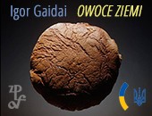 Stara Galeria ZPAF zaprasza na wystawę Igora Gaidaja „Owoce Ziemi”