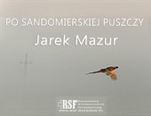 Wystawa Jarka Mazura „Po Sandomierskiej Puszczy” w Galerii Nierzeczywistej