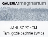 Janusz Połom: „Tam, gdzie pachnie żywicą” - wystawa w Galerii Imaginarium