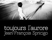 Stara Galeria ZPAF zaprasza na wystawę Jean-François Spricigo „toujours l’aurore”