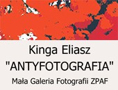 Wystawa „Antyfotografia” Kingi Eliasz w związkowej toruńskiej galerii