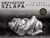 Wystawa „In love with Nature” Krzysztofa Szlapy, spotkanie z autorem w Katowicach