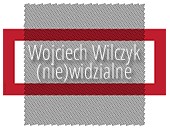 Wojciech Wilczyk: (nie)widzialne / (in)visible - wystawa w Muzeum POLIN