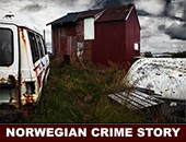 Danuta Piotrowska: „Norwegian Crime Story" w Galerii Okręgu Szczecińskiego