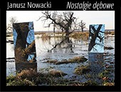 Wystawa Janusza Nowackiego - „Nostalgie dębowe” w Galerii Pusta cd. 