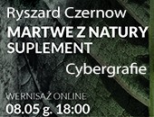 Wirtualna wystawa cybergrafii Ryszarda Czernowa w Tychach
