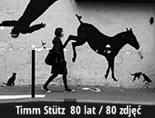 Wystawa fotografii Timma Stütza na jego jubileusz w Szczecinie