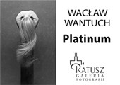 Wystawa fotografii Wacława Wantucha „Platinum” w Zamościu