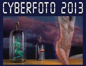 Wystawa pokonkursowa „Cyberfoto - 2013“ w Częstochowie